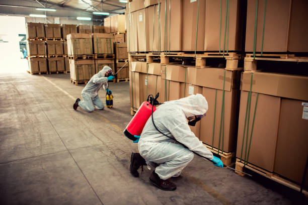 Best Pest Removal Services  in New Pek, IN