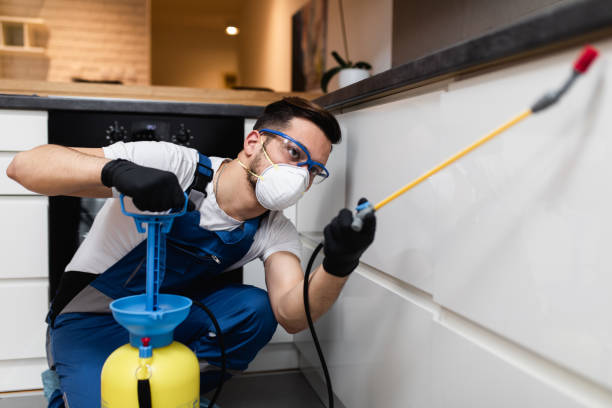 Best Emergency Pest Control  in New Pek, IN