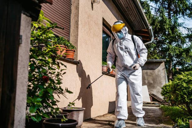 Best Pest Prevention Services  in New Pek, IN