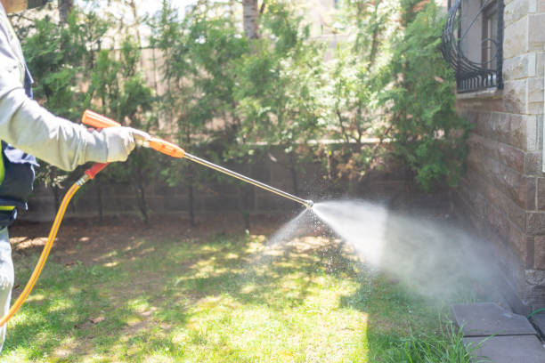 Best Best Pest Control Companies  in New Pek, IN