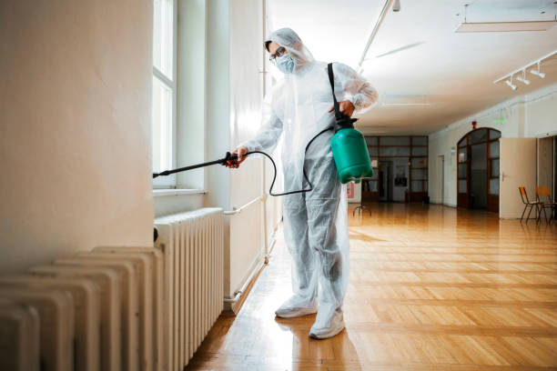 Best Local Pest Control Services  in New Pek, IN