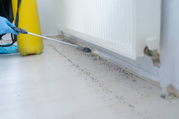 Best Best Pest Control Companies  in New Pek, IN